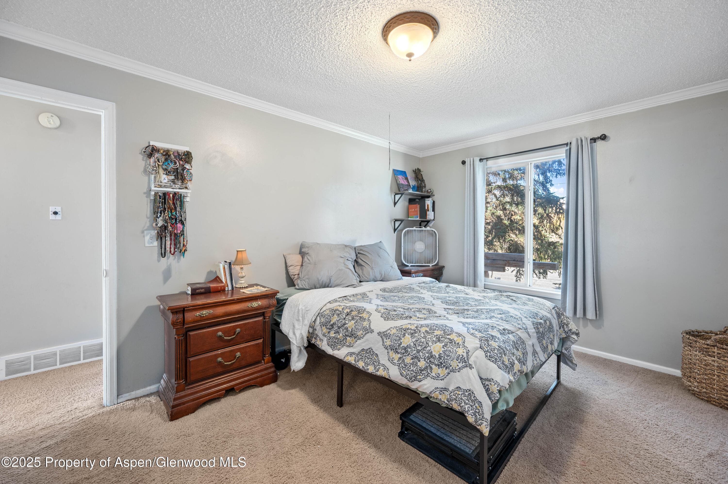 1617 W 7th Street, Rifle, CO 81650 - Photo 11