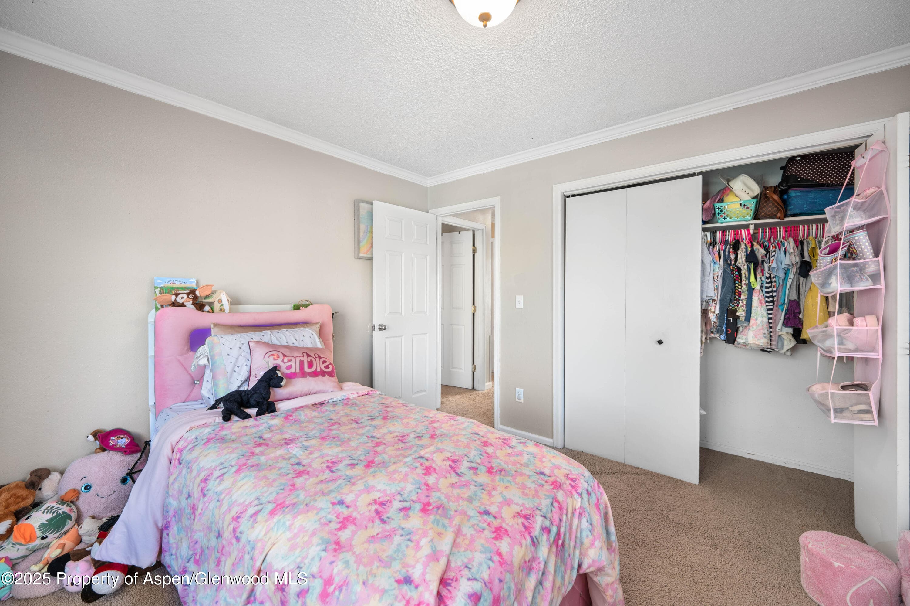 1617 W 7th Street, Rifle, CO 81650 - Photo 14