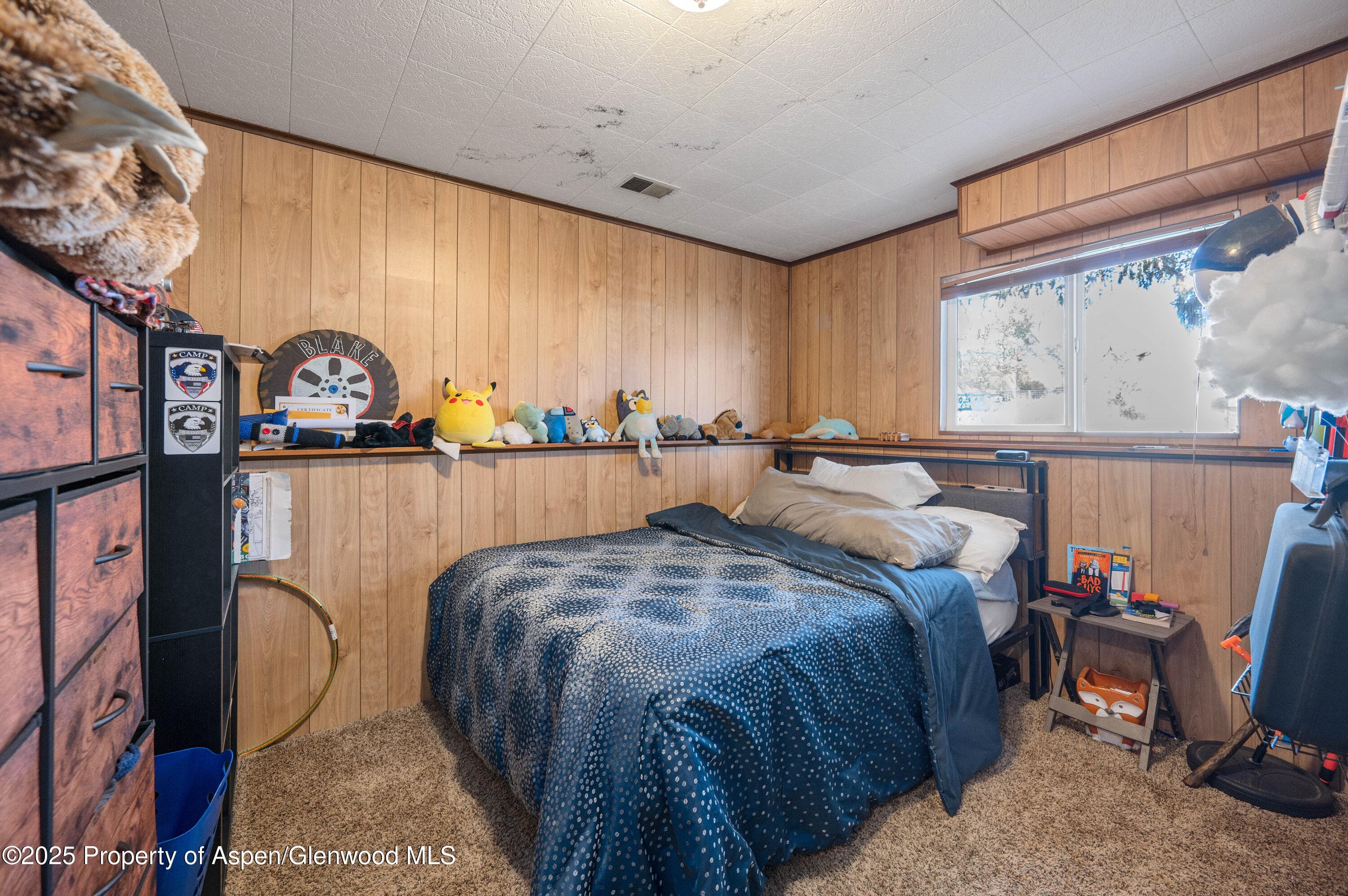 1617 W 7th Street, Rifle, CO 81650 - Photo 15