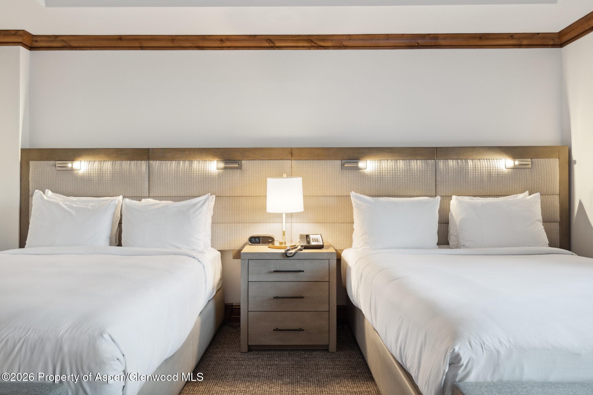 415 E Dean St, Unit 29, Week 5, Aspen, CO 81611 - Photo 23