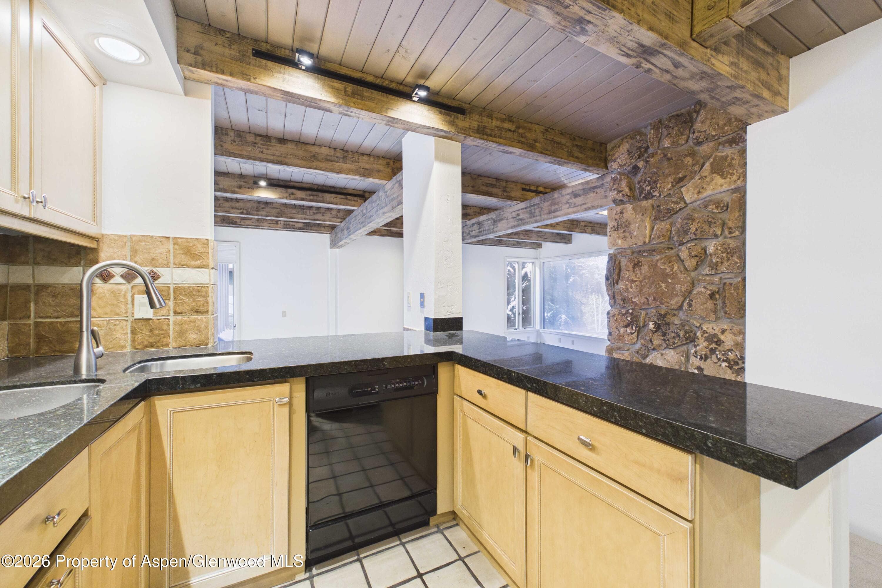 651 S Monarch Street 104, Aspen, CO 81611 - Photo 7