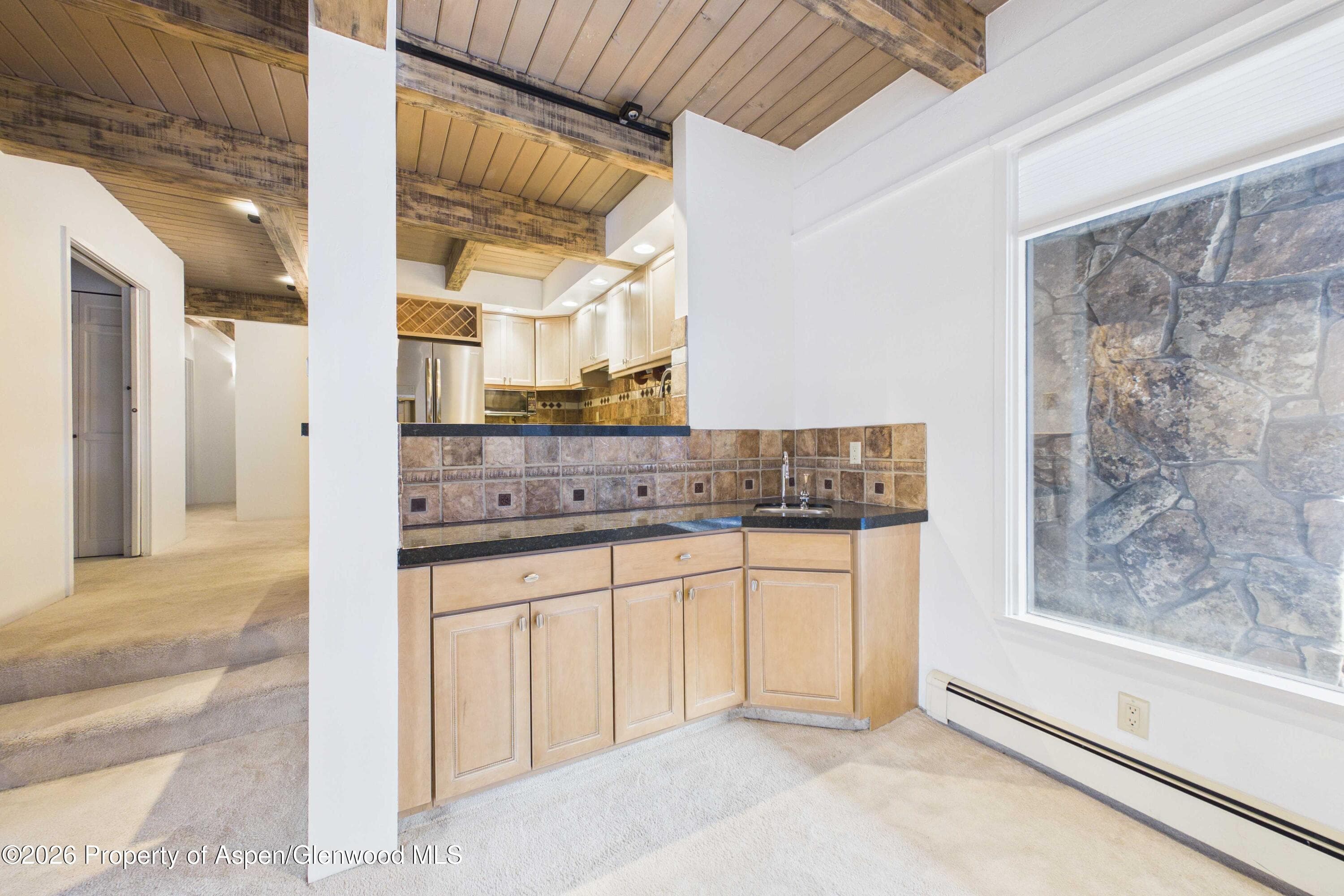 651 S Monarch Street 104, Aspen, CO 81611 - Photo 9