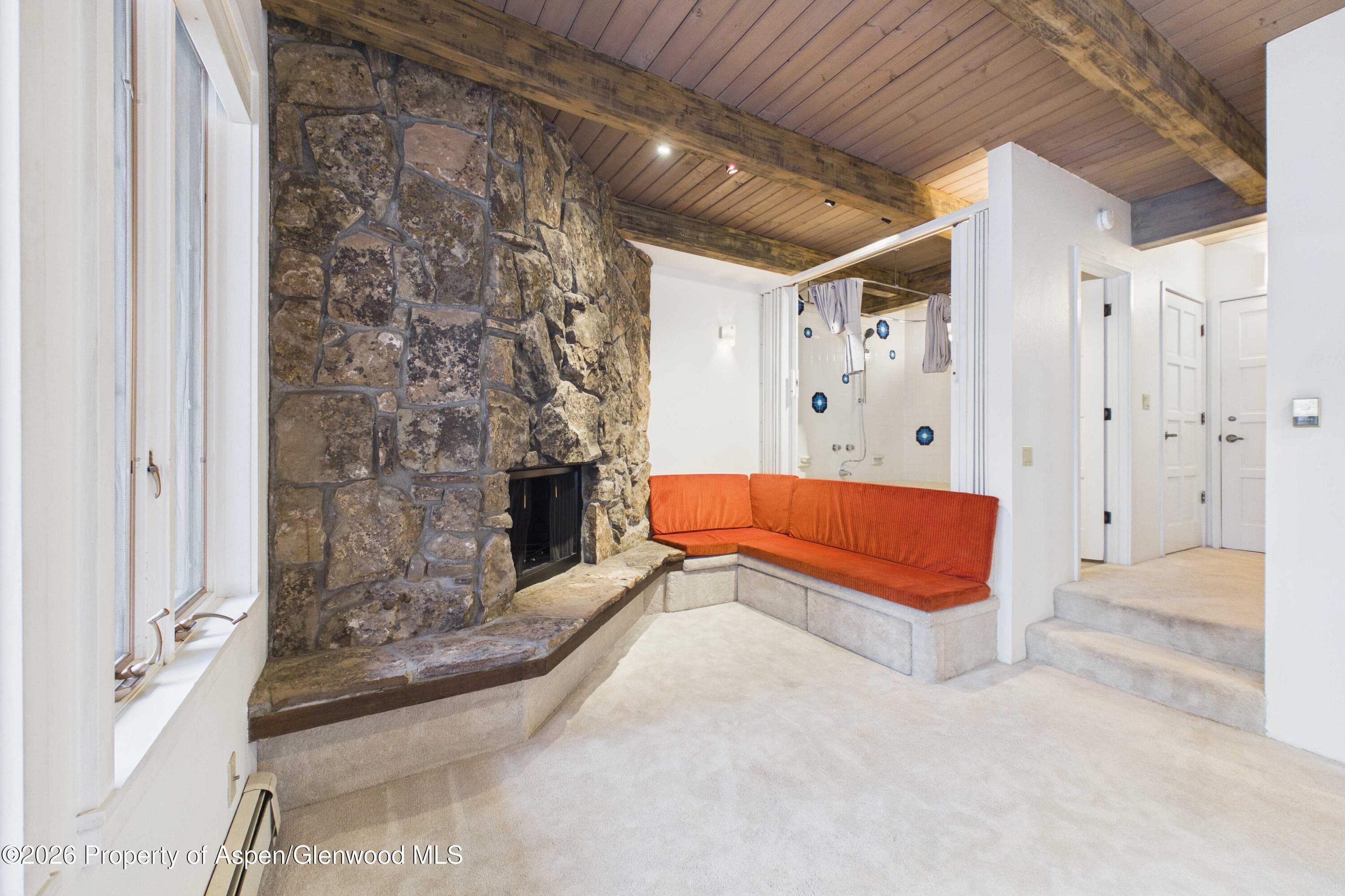 651 S Monarch Street 104, Aspen, CO 81611 - Photo 11