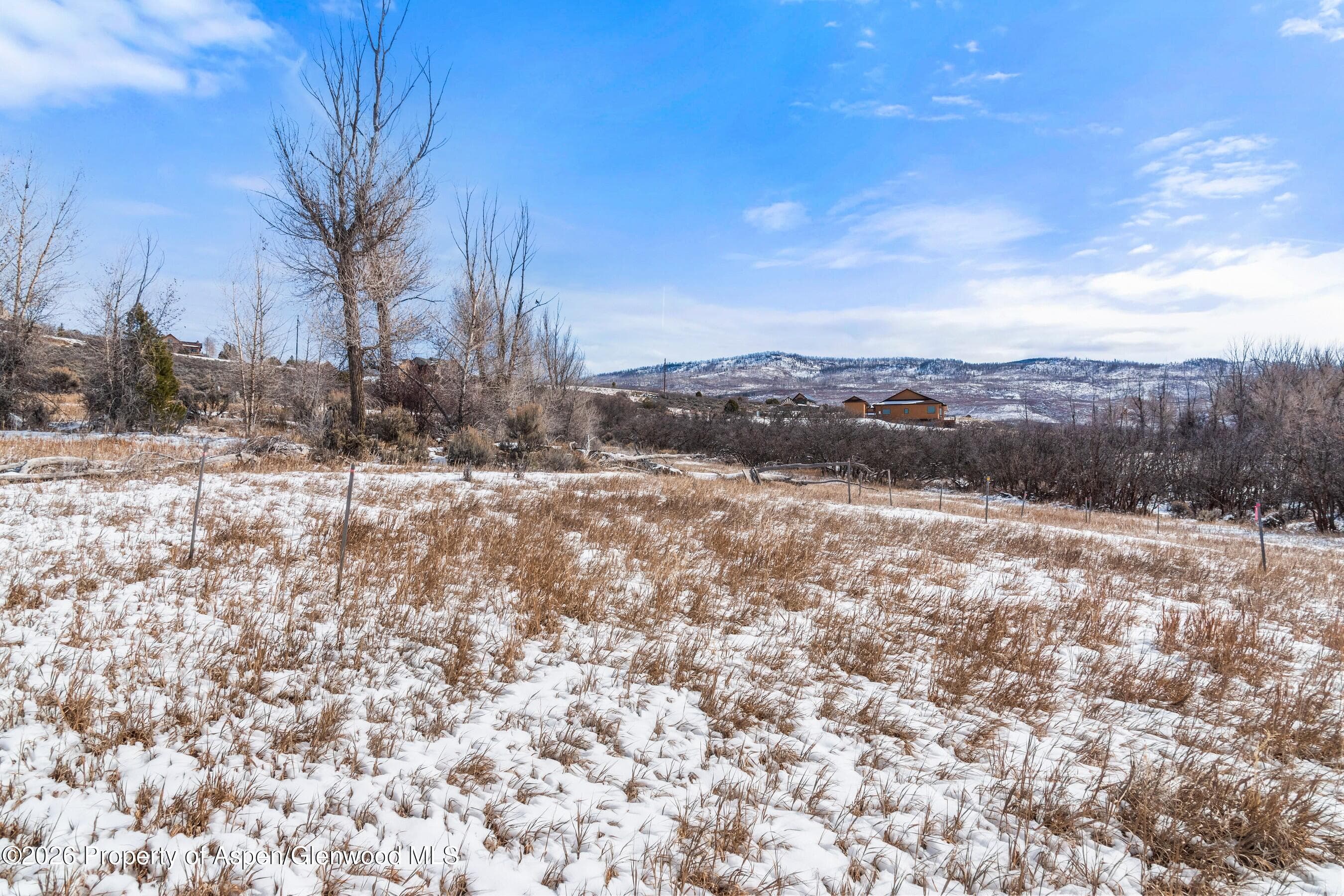 306 Green Meadow Drive, Carbondale, CO 81623 - Photo 18