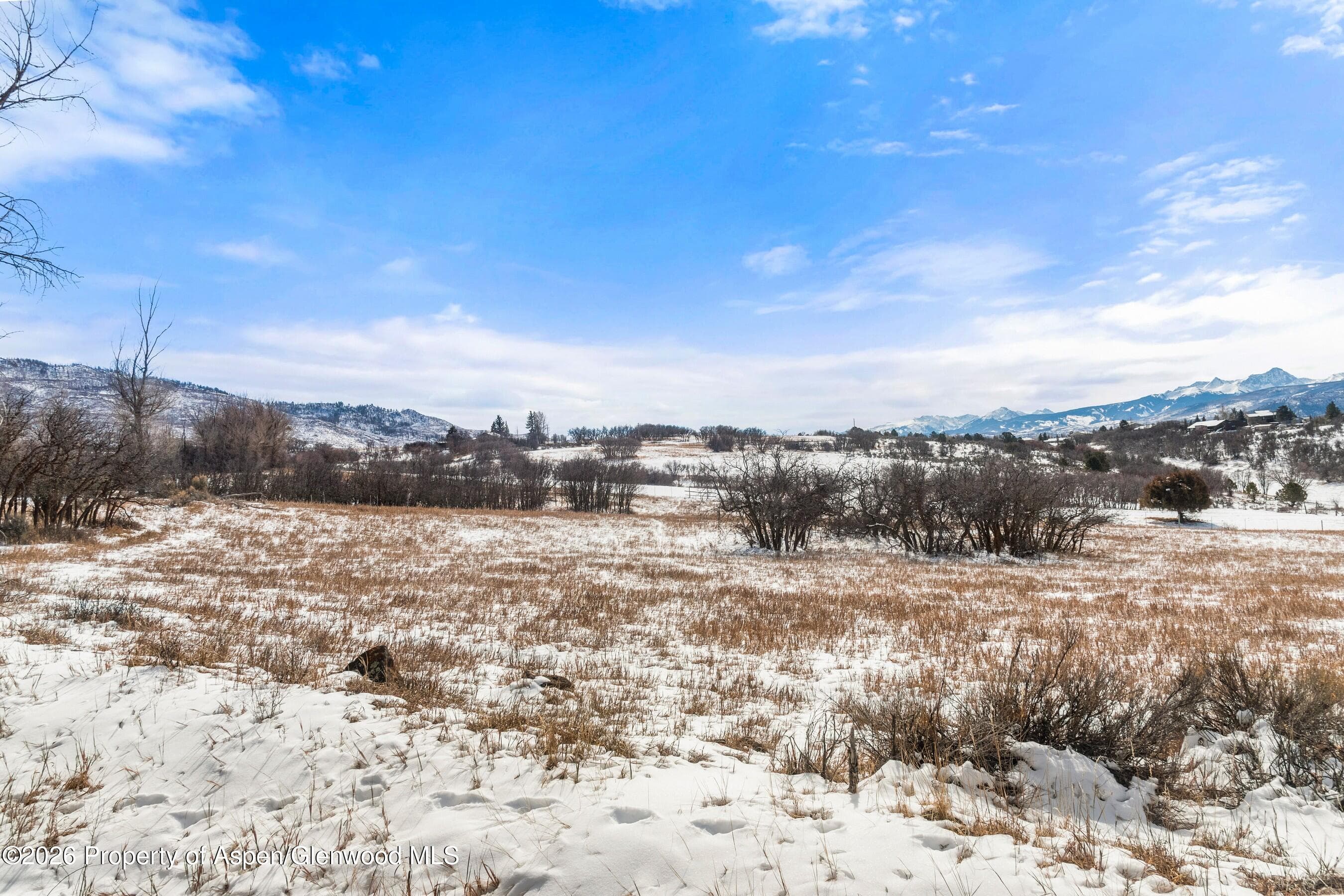306 Green Meadow Drive, Carbondale, CO 81623 - Photo 19
