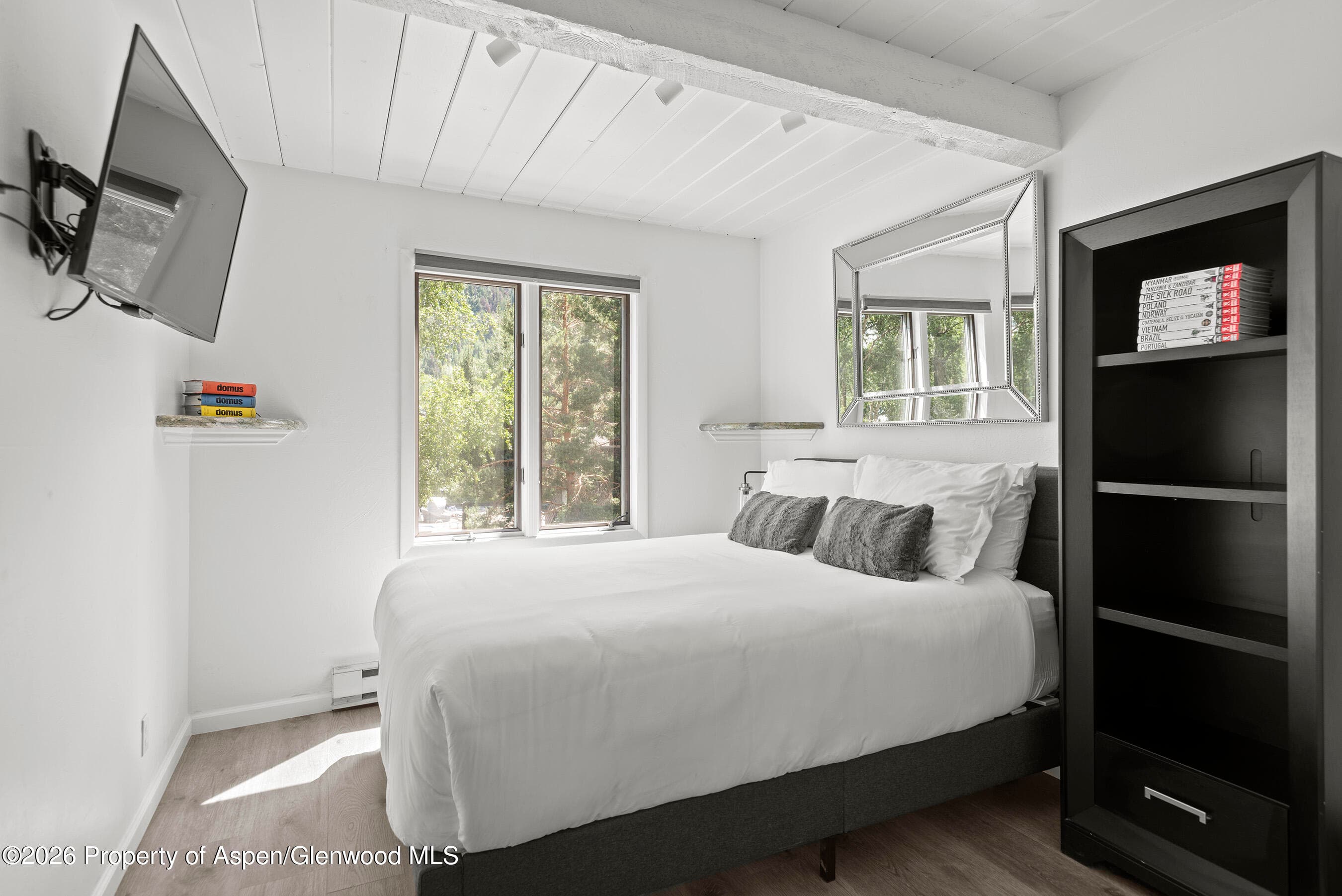 1024 E Cooper Avenue 2, Aspen, CO 81611 - Photo 21