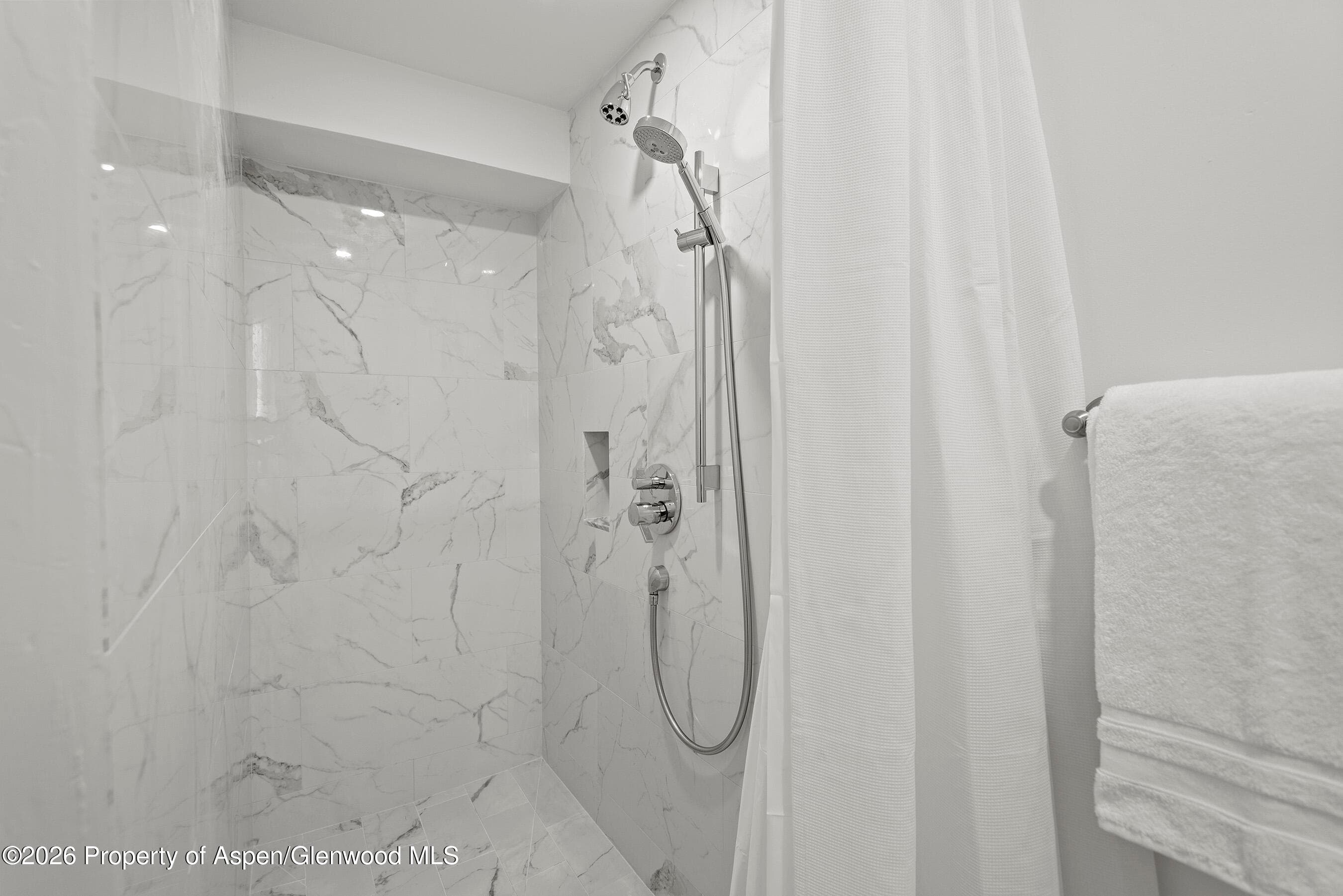 1024 E Cooper Avenue 2, Aspen, CO 81611 - Photo 18