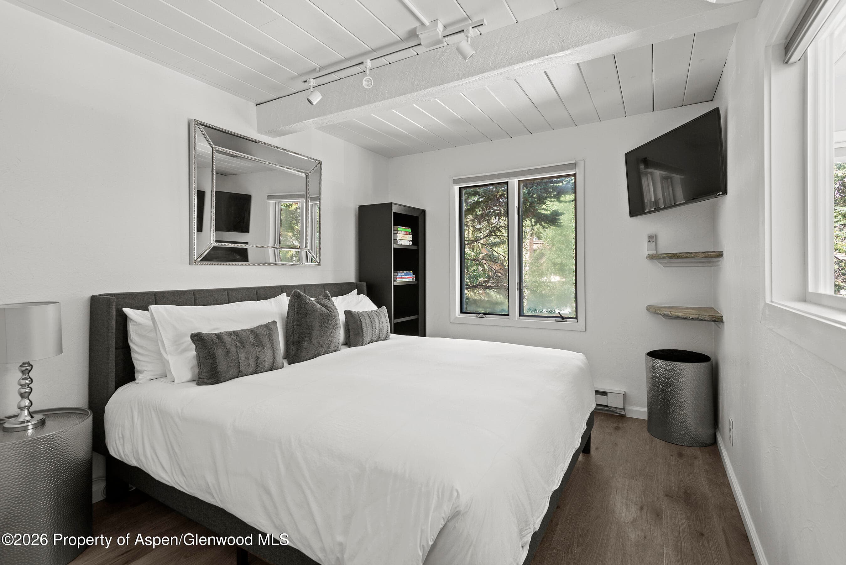 1024 E Cooper Avenue 2, Aspen, CO 81611 - Photo 16