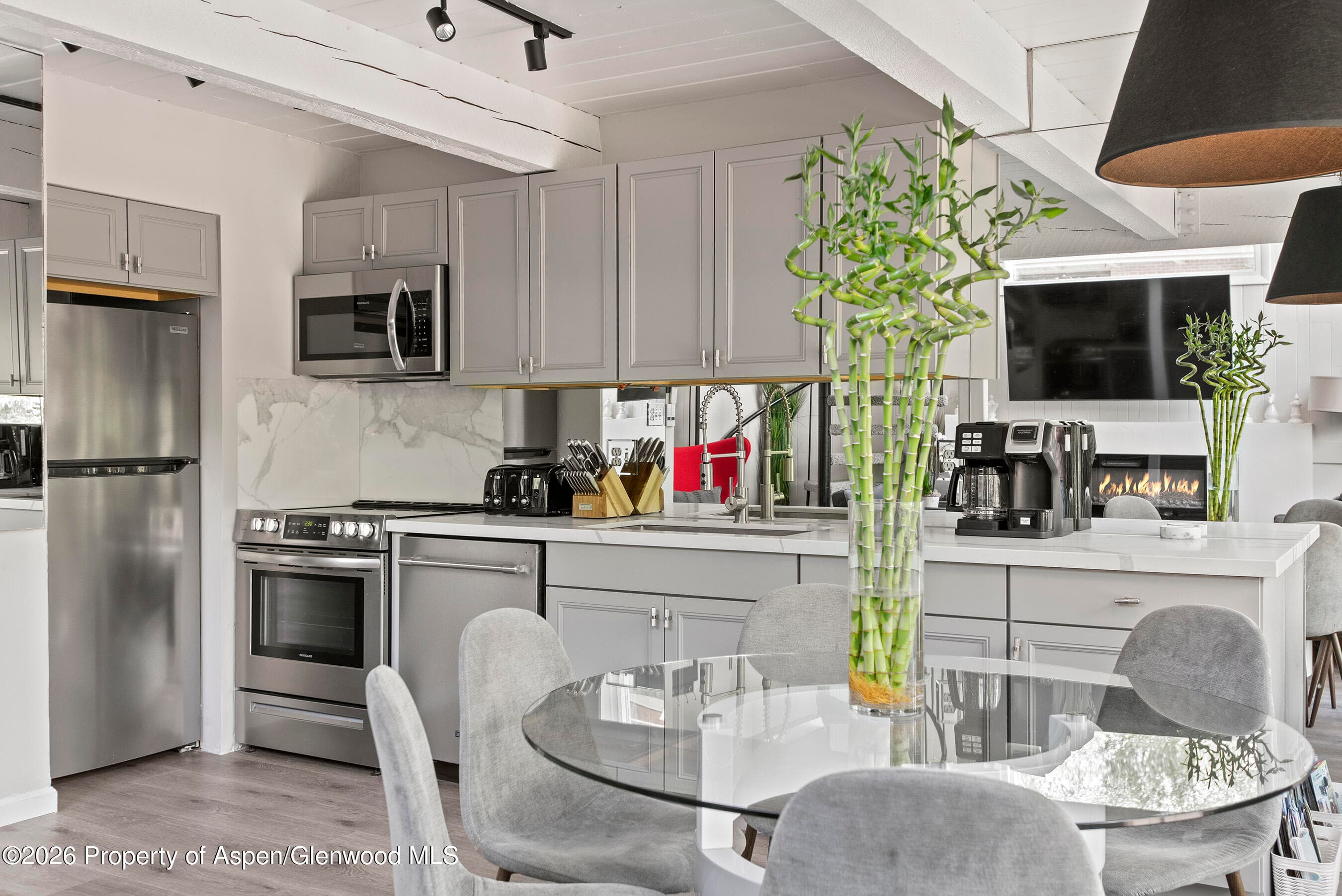 1024 E Cooper Avenue 2, Aspen, CO 81611 - Photo 12