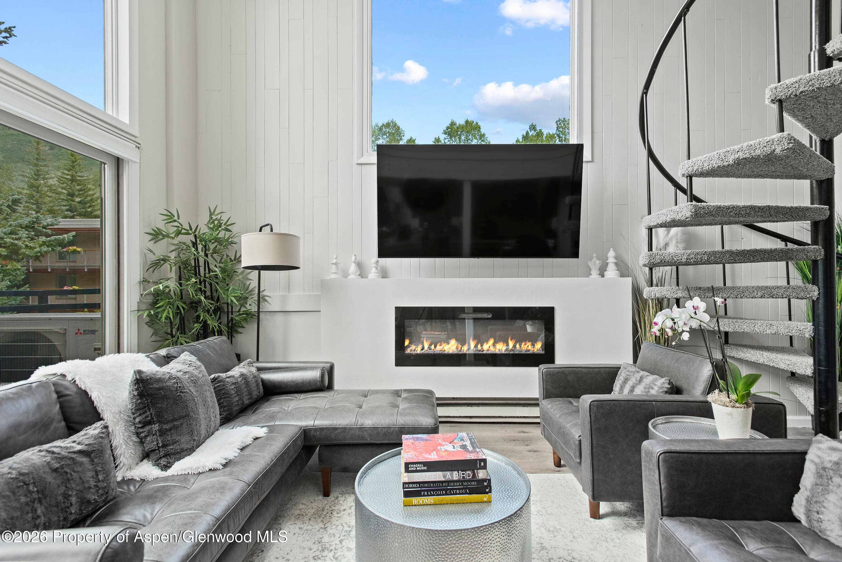 1024 E Cooper Avenue 2, Aspen, CO 81611 - Photo 3