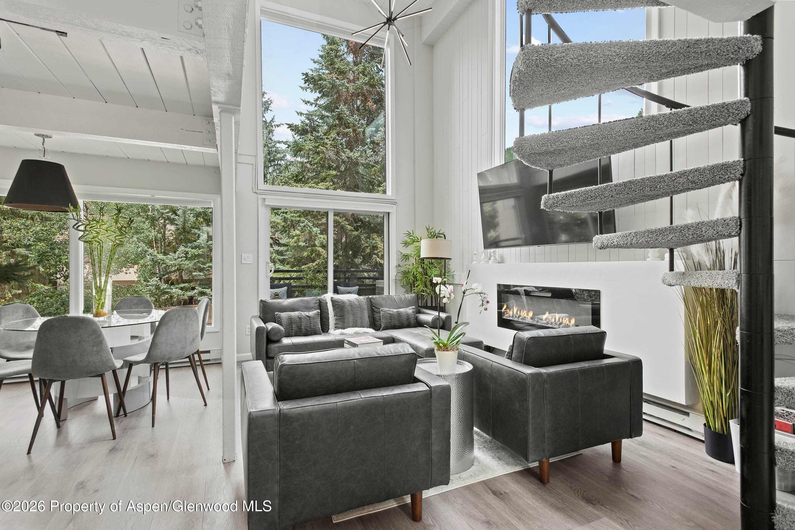 1024 E Cooper Avenue 2, Aspen, CO 81611 - Photo 9