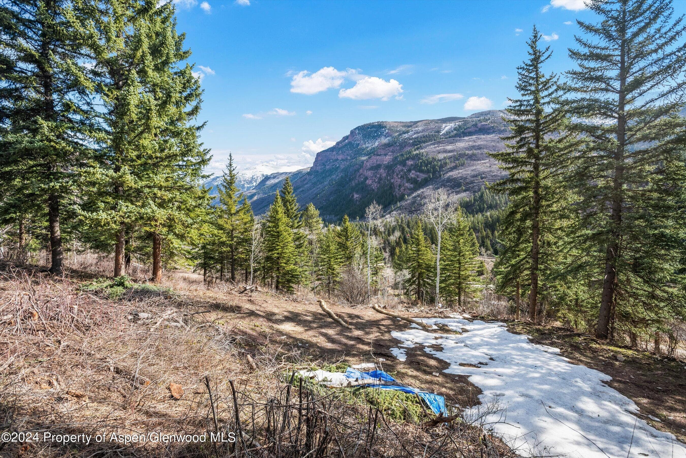 Tbd Elk Mountain Dr Drive, Redstone, CO 81623 - Photo 2