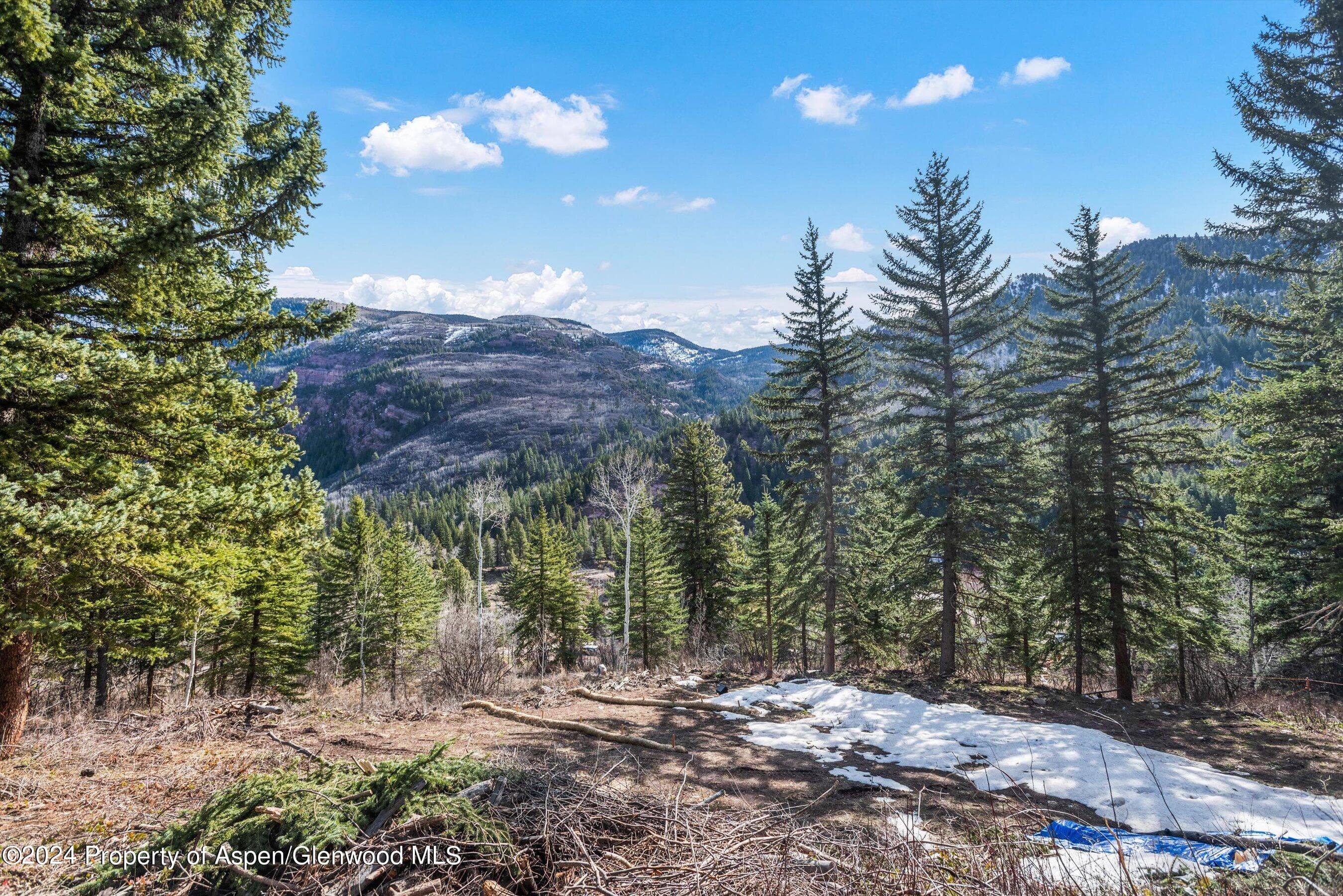 Tbd Elk Mountain Dr Drive, Redstone, CO 81623 - Photo 6