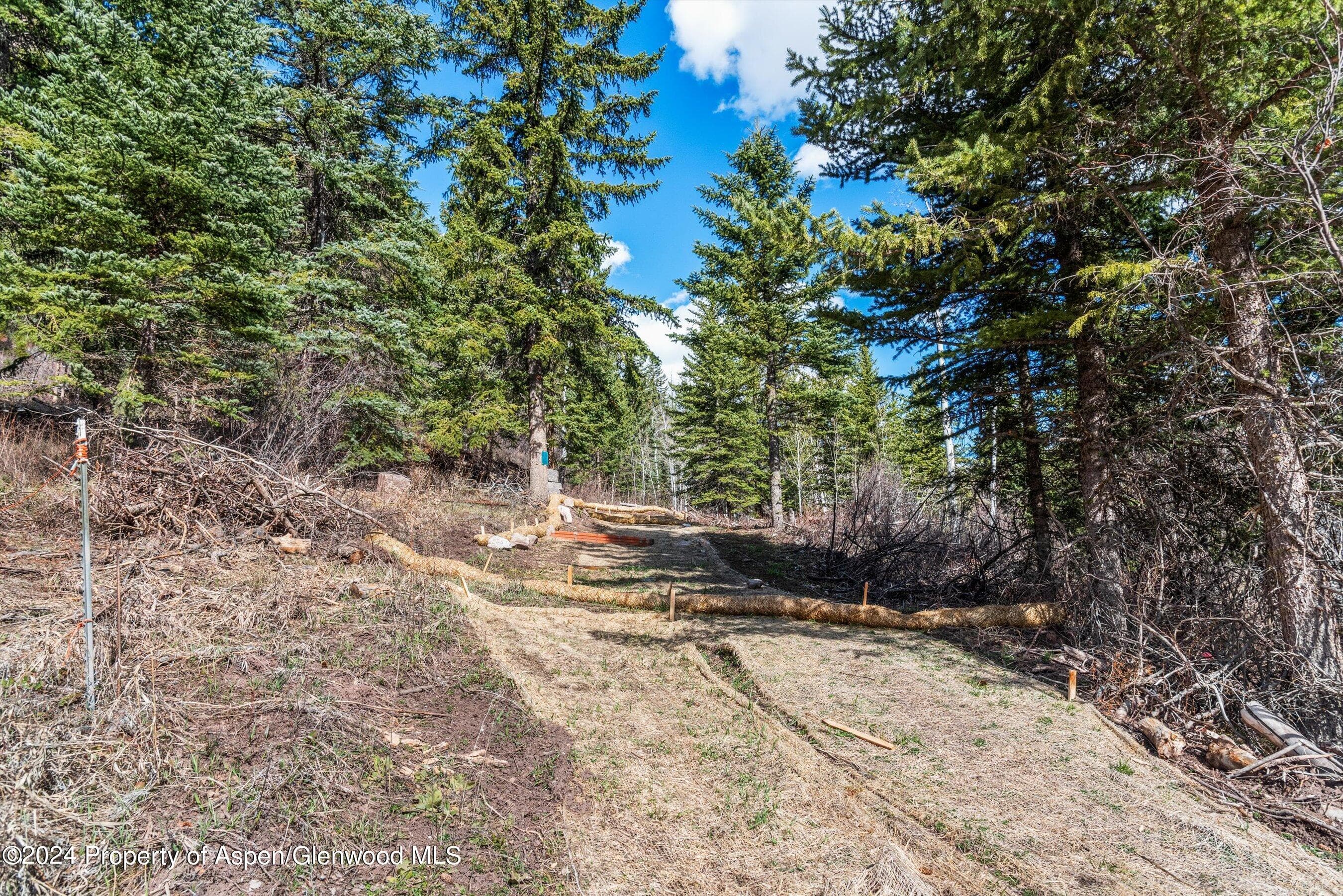 Tbd Elk Mountain Dr Drive, Redstone, CO 81623 - Photo 10