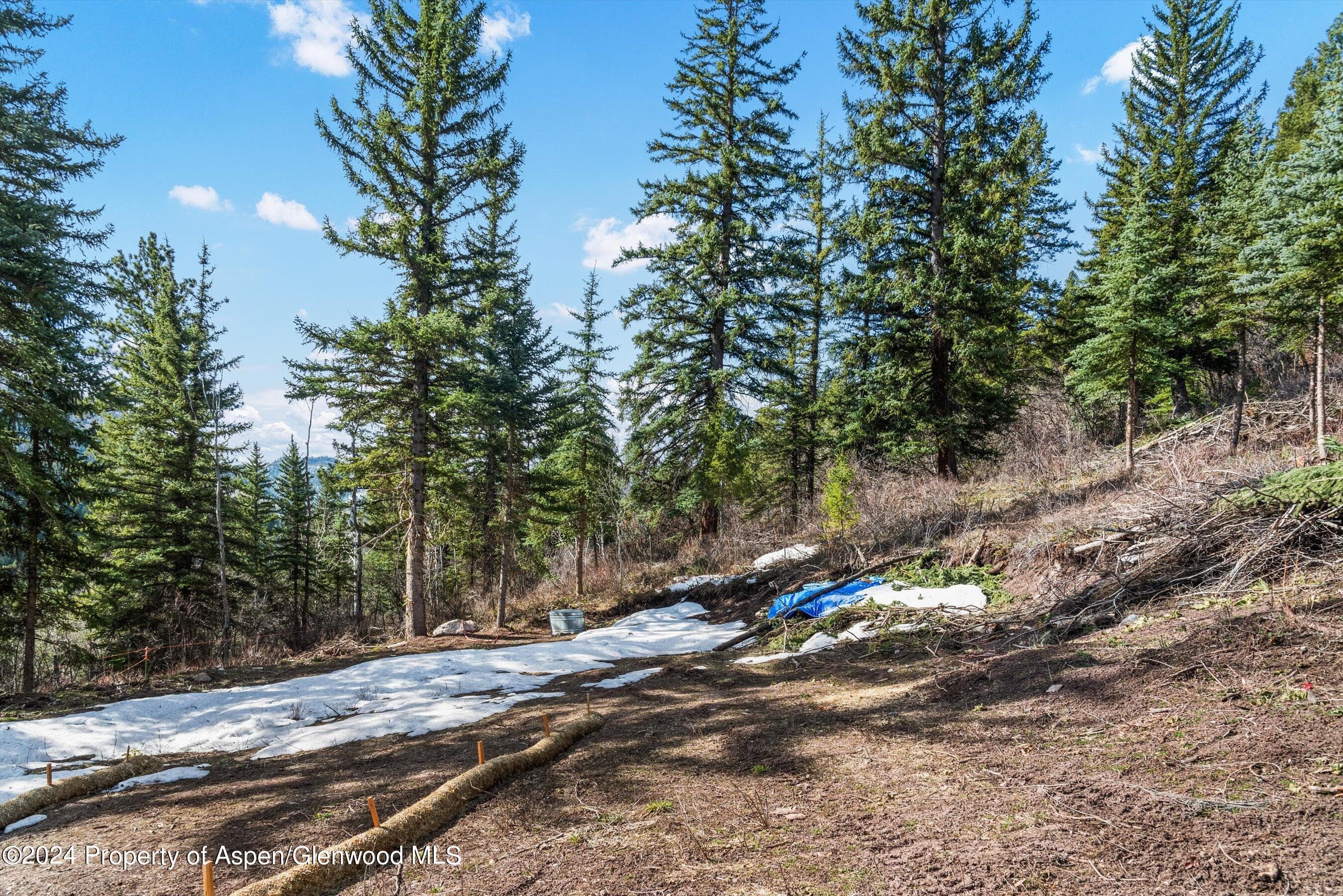 Tbd Elk Mountain Dr Drive, Redstone, CO 81623 - Photo 11