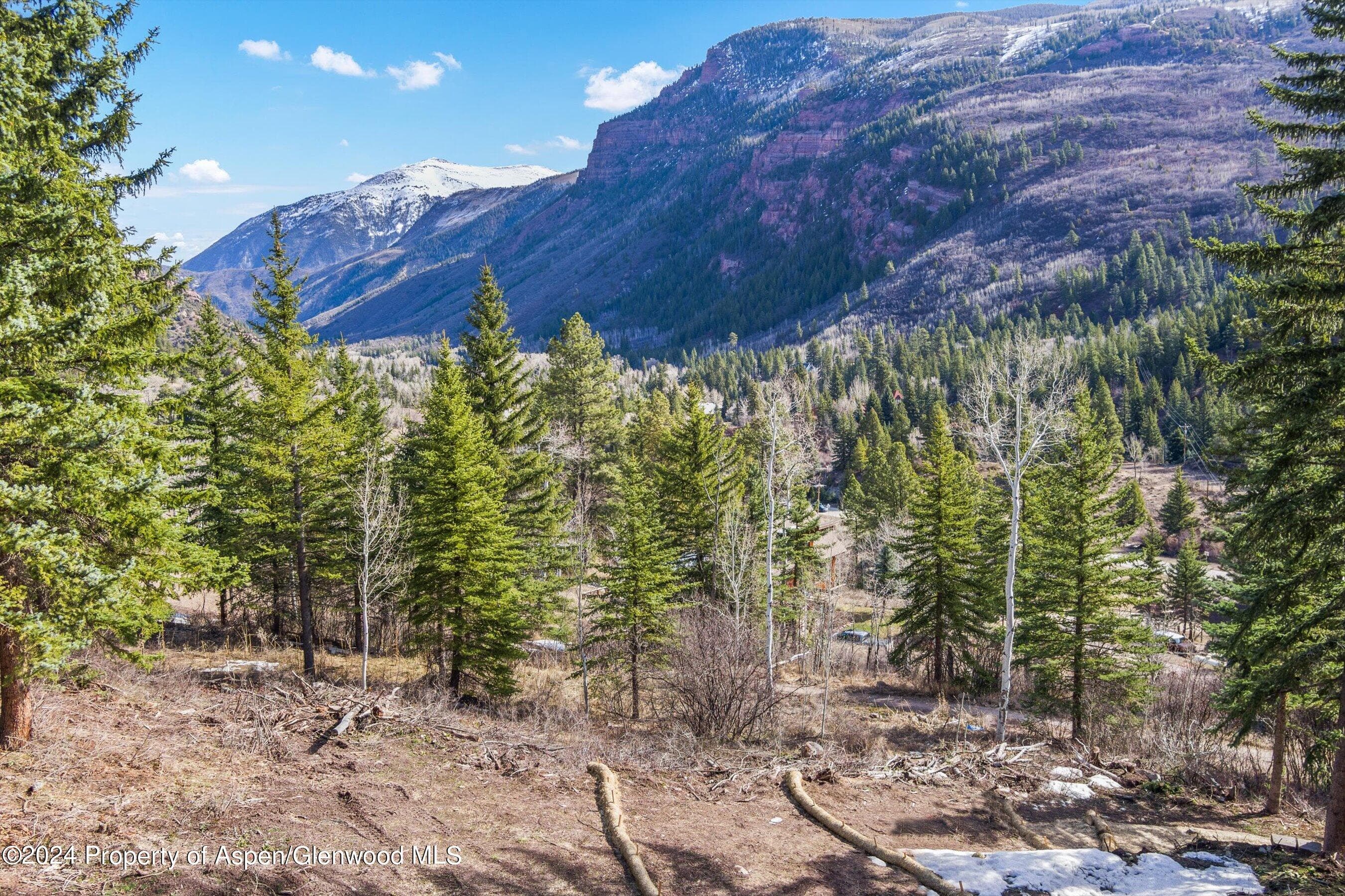 Tbd Elk Mountain Dr Drive, Redstone, CO 81623 - Photo 16