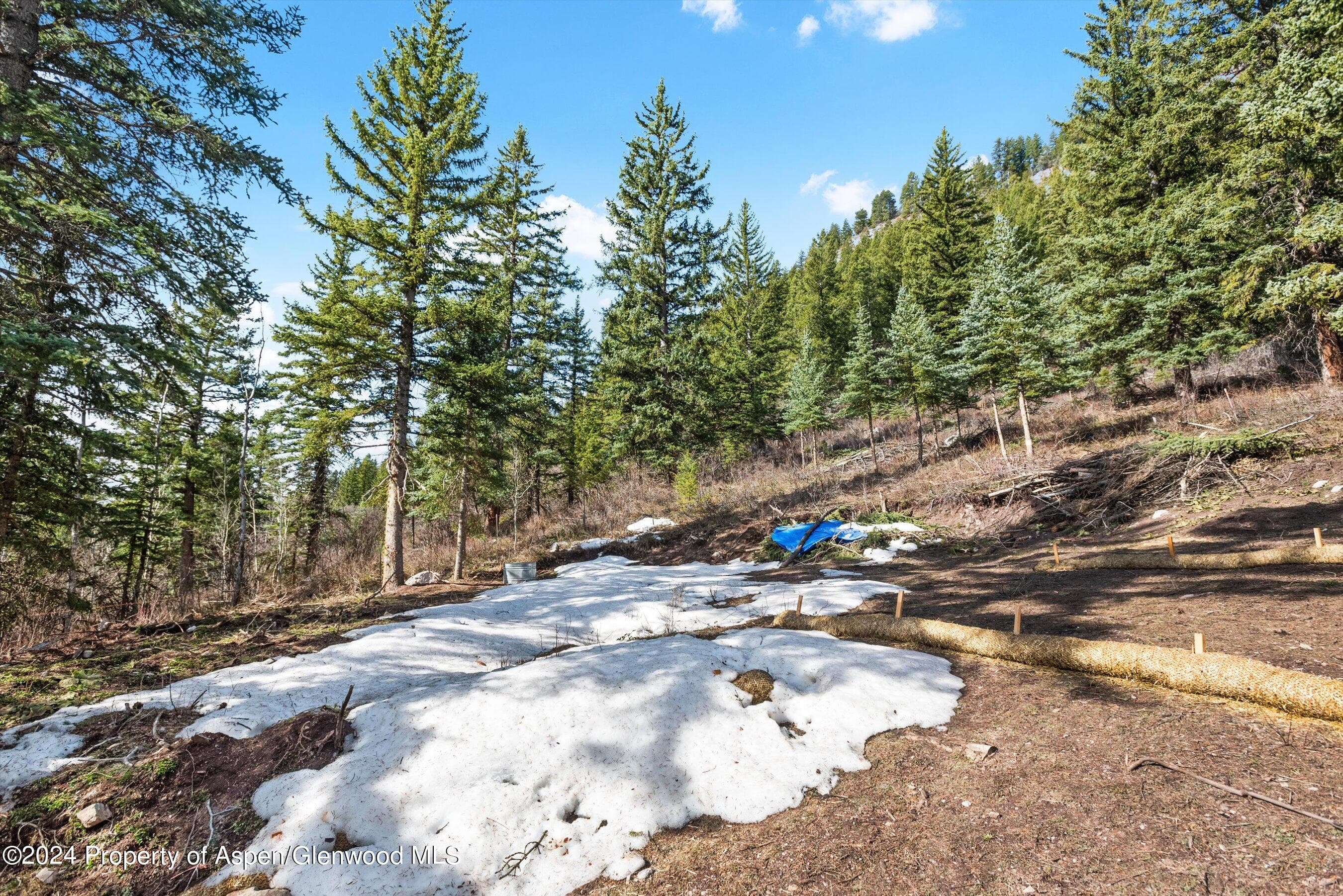 Tbd Elk Mountain Dr Drive, Redstone, CO 81623 - Photo 20