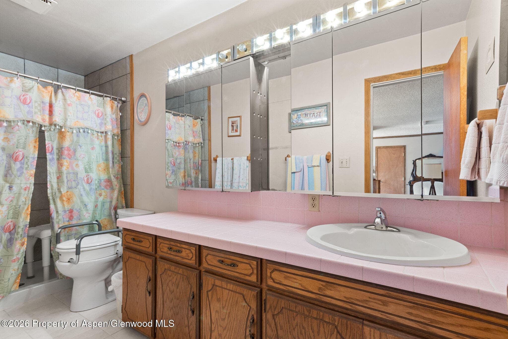 284 Panoramic Drive, Silt, CO 81652 - Photo 18