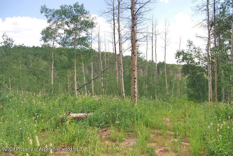 Tbd County Road 11, Craig, CO 81625 - Photo 35