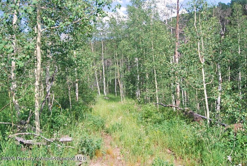 Tbd County Road 11, Craig, CO 81625 - Photo 38