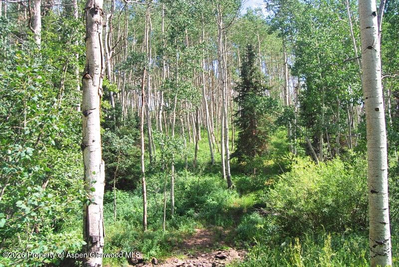 Tbd County Road 11, Craig, CO 81625 - Photo 36
