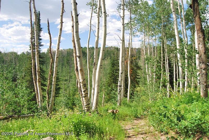 Tbd County Road 11, Craig, CO 81625 - Photo 29