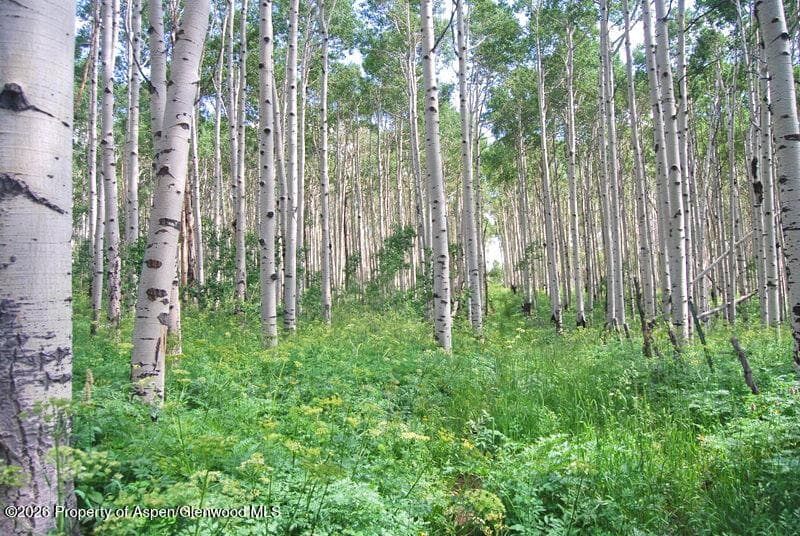 Tbd County Road 11, Craig, CO 81625 - Photo 30