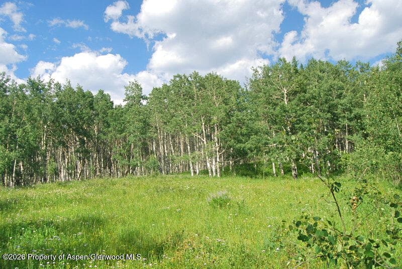 Tbd County Road 11, Craig, CO 81625 - Photo 24