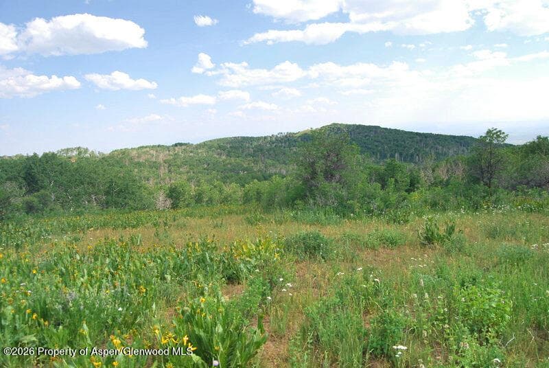 Tbd County Road 11, Craig, CO 81625 - Photo 2