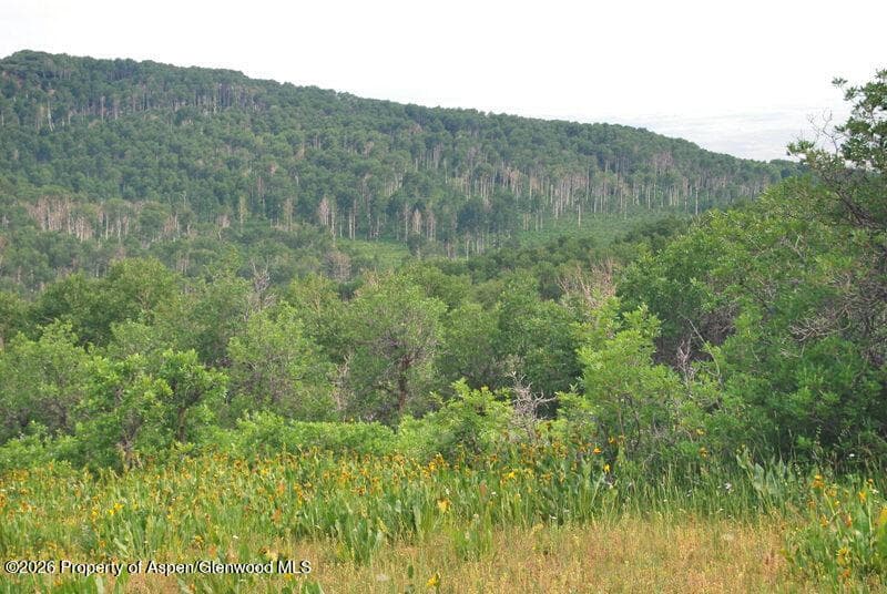 Tbd County Road 11, Craig, CO 81625 - Photo 33