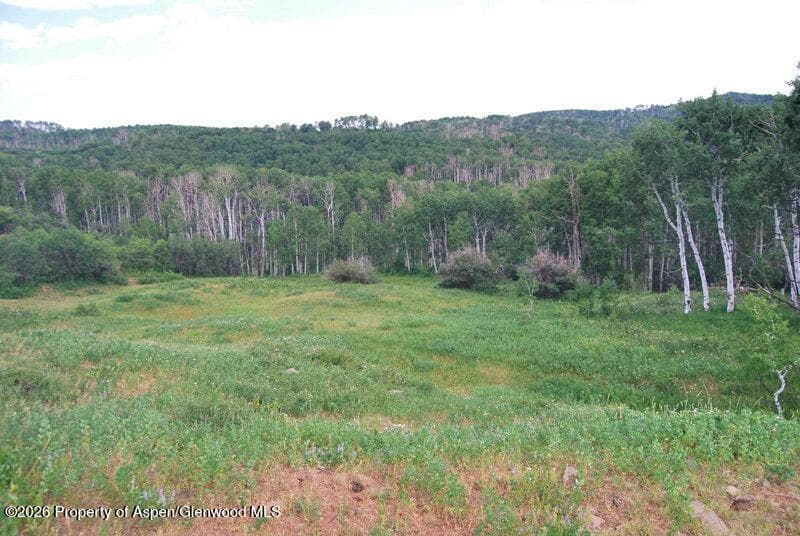 Tbd County Road 11, Craig, CO 81625 - Photo 11