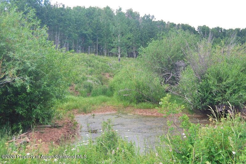 Tbd County Road 11, Craig, CO 81625 - Photo 31