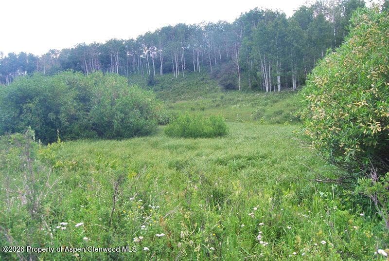 Tbd County Road 11, Craig, CO 81625 - Photo 25