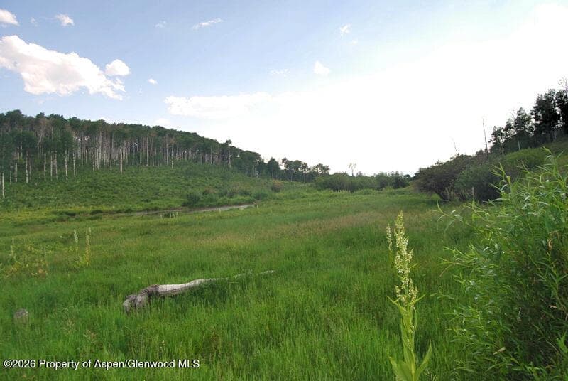 Tbd County Road 11, Craig, CO 81625 - Photo 7