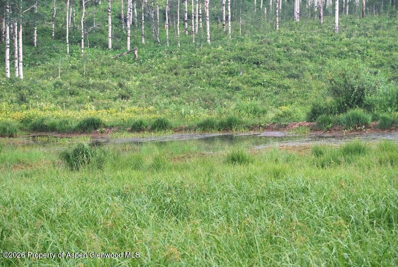 Tbd County Road 11, Craig, CO 81625 - Photo 10