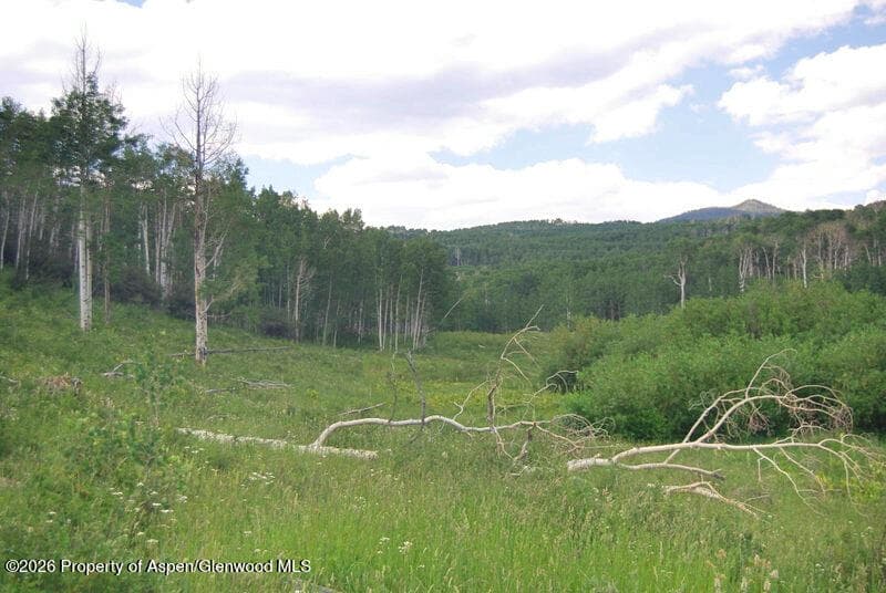 Tbd County Road 11, Craig, CO 81625 - Photo 19