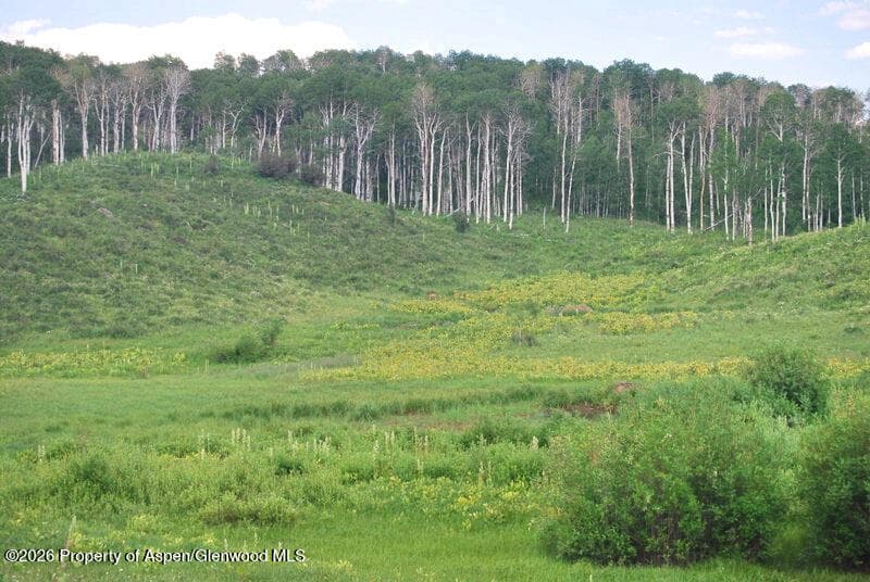 Tbd County Road 11, Craig, CO 81625 - Photo 1