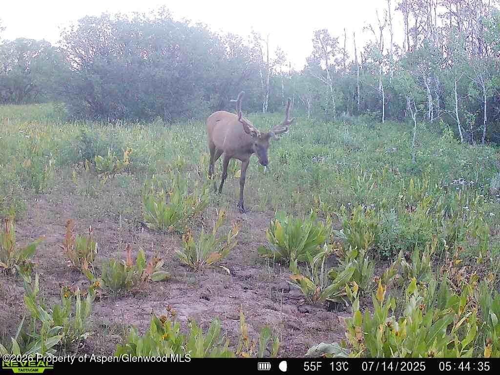 Tbd County Road 11, Craig, CO 81625 - Photo 20