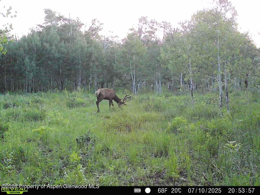 Tbd County Road 11, Craig, CO 81625 - Photo 13