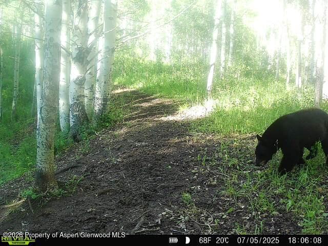 Tbd County Road 11, Craig, CO 81625 - Photo 32
