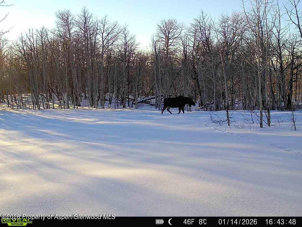 Tbd County Road 11, Craig, CO 81625 - Photo 22