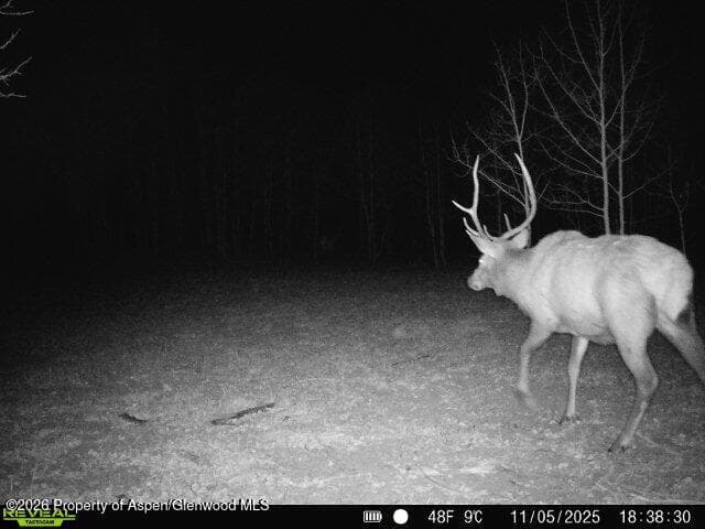Tbd County Road 11, Craig, CO 81625 - Photo 21