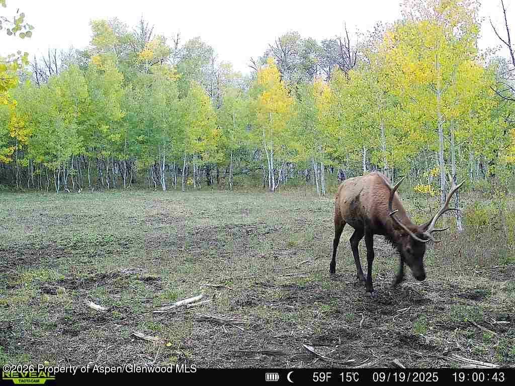 Tbd County Road 11, Craig, CO 81625 - Photo 8