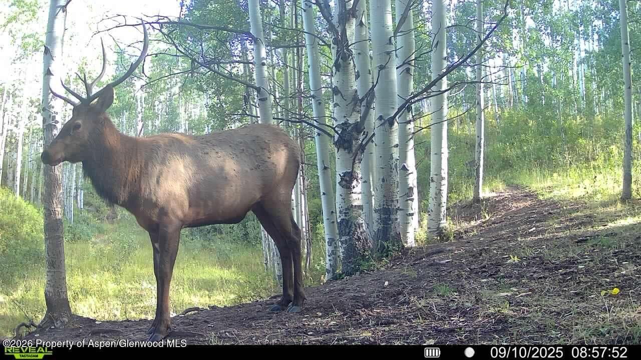 Tbd County Road 11, Craig, CO 81625 - Photo 9