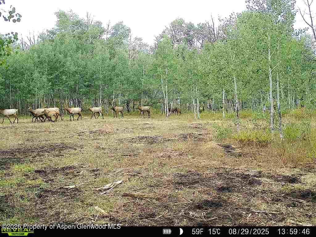 Tbd County Road 11, Craig, CO 81625 - Photo 3