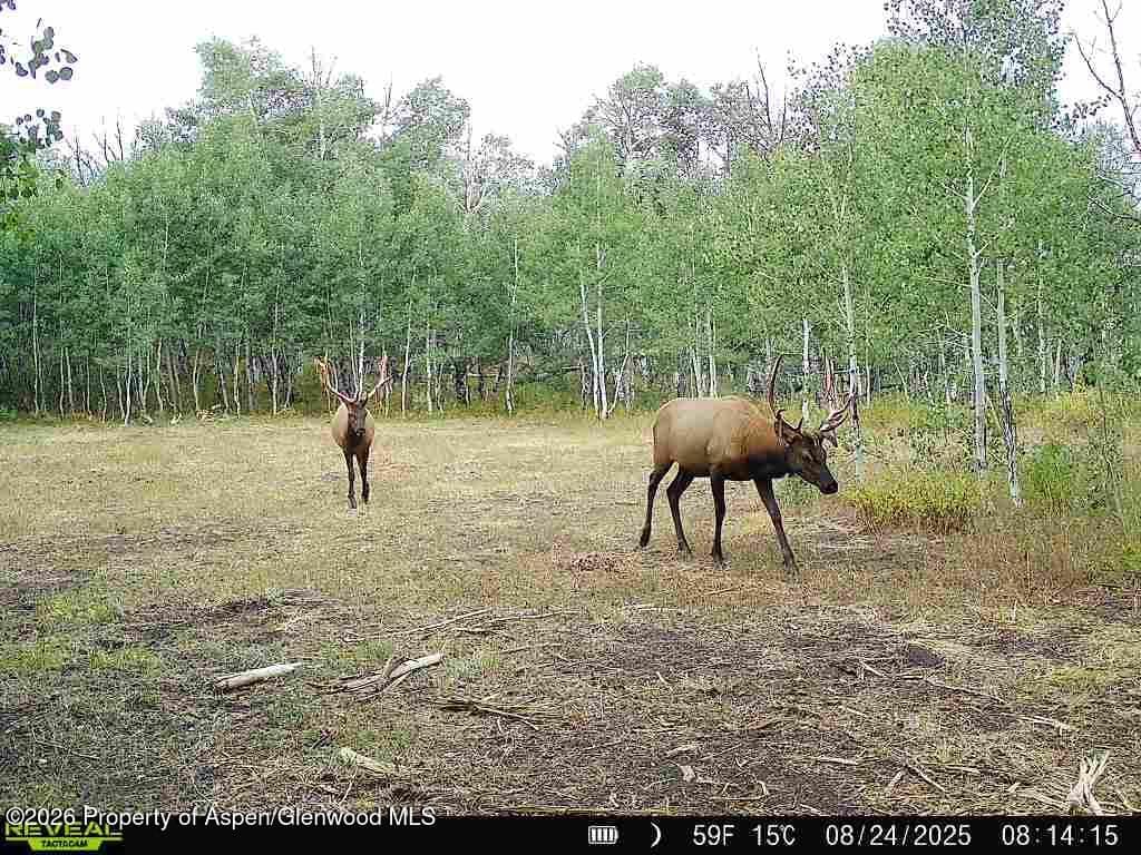 Tbd County Road 11, Craig, CO 81625 - Photo 4