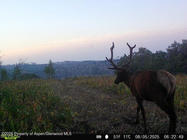 Tbd County Road 11, Craig, CO 81625 - Photo 5