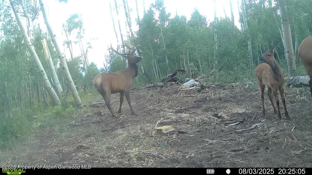Tbd County Road 11, Craig, CO 81625 - Photo 15