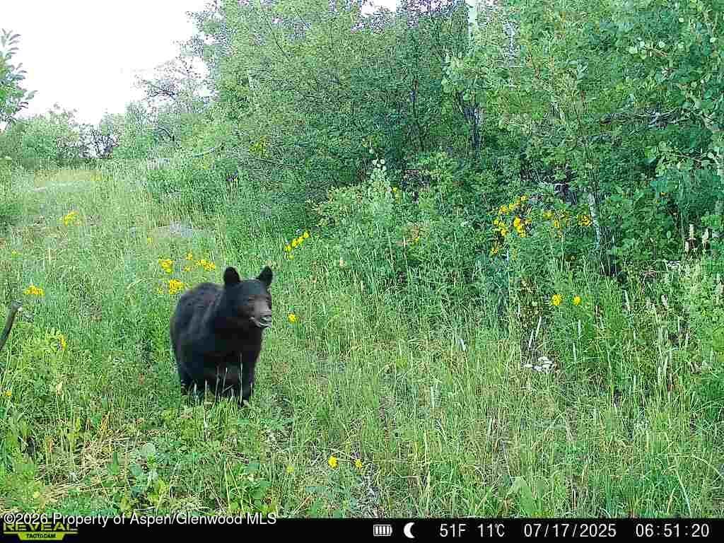 Tbd County Road 11, Craig, CO 81625 - Photo 27