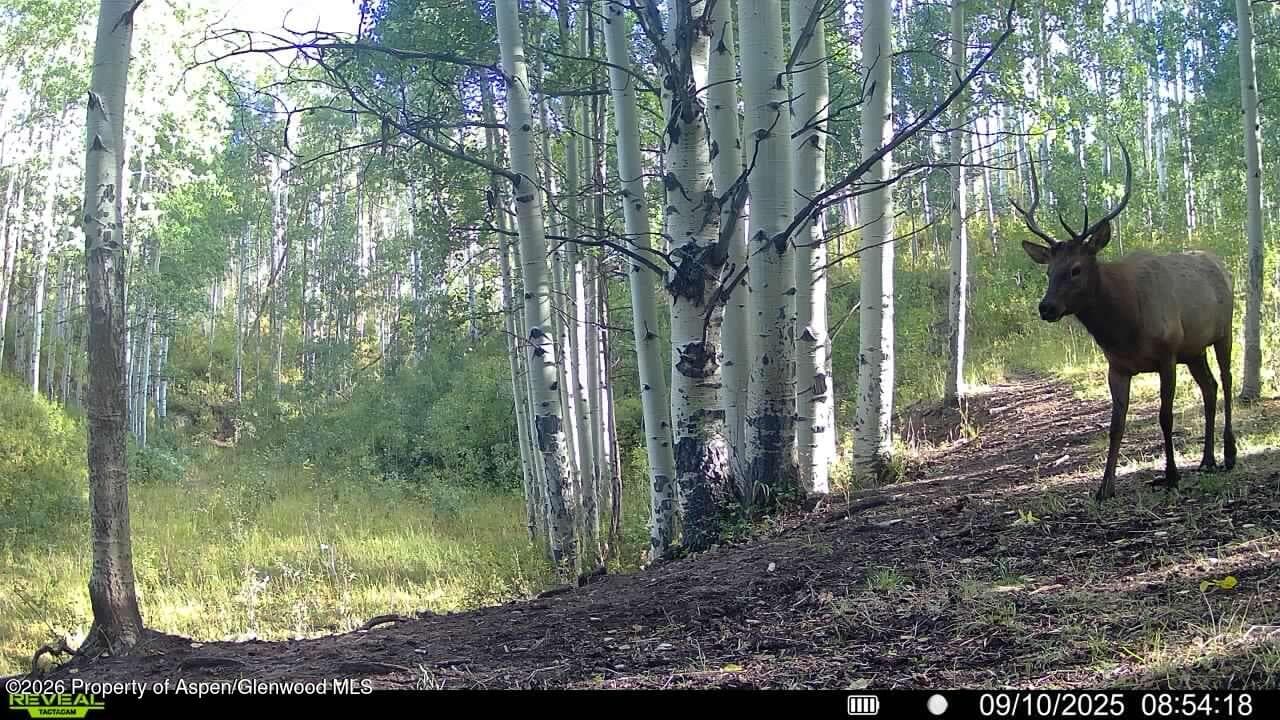 Tbd County Road 11, Craig, CO 81625 - Photo 14